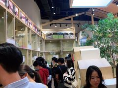 -屋虎猫馆(宝安大仟里店)