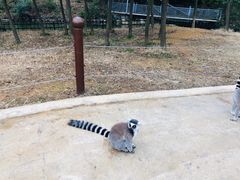 -杭州野生动物世界