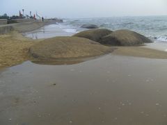 -日照灯塔风景区