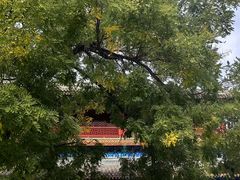 -潭柘寺景区