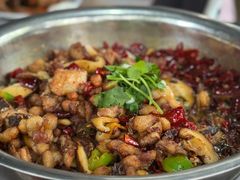 -食神又名厕所兔