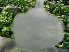 -顺承小院儿