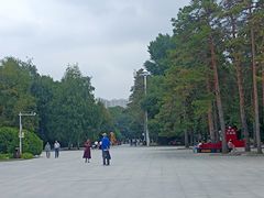 -黑龙江省森林植物园