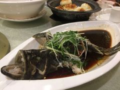 石斑鱼-琼菜坊·无鸡不成宴·海南菜老爸茶糟粕醋(海口骑楼老街店)