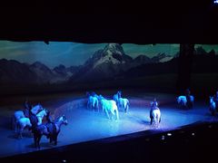 -cavalia·舞马