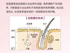 -万达广场(东莞东城店)