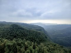 -蜀南竹海景区