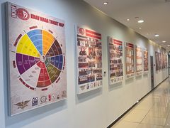 -极斗-IKMF马伽术·格斗运动学院(东直门店)