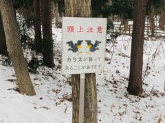 -北海道神宫
