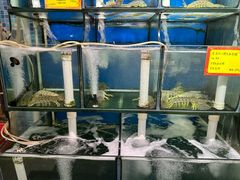 -蚝专家(北滘店)
