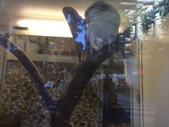 -龙猫仔乐园(惠福东路店)