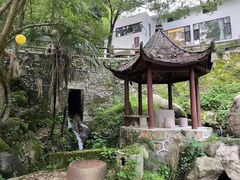 -长沙黑麋峰国家森林公园