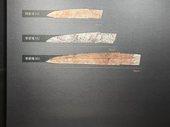 -盘龙城国家考古遗址公园