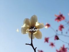 -首都师范大学科德学院