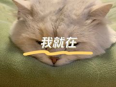 -耀江文鼎苑