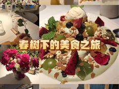 -春树下·树屋花房西餐厅(罍街AS1980店)