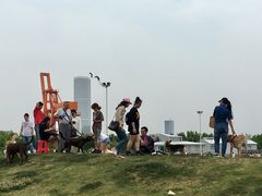 -栖露营camping·天幕烧烤·团建拓展·采摘营地