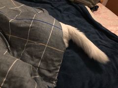 -非常粥道(天宝东街店)