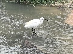 -兰亭风景区