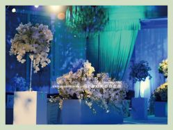 -静安洲际酒店·宴会厅