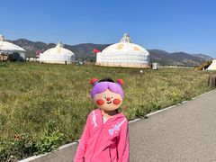 -敕勒川草原