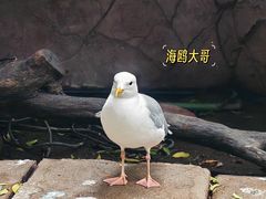 -长鹿旅游休博园