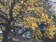 -VOYAGE COFFEE(北锣鼓巷店)