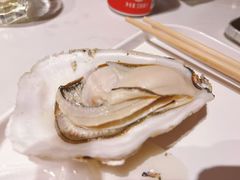 -杨氏青龙虾·羊蝎子(金盛路总店)