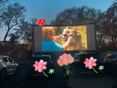 -枫花园汽车电影院(朝阳公园店)