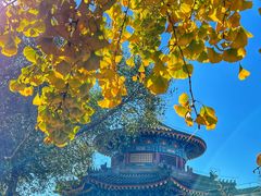 -大钟寺古钟博物馆