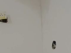 -立邦(柳滩专卖店)
