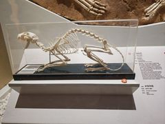 -国家自然博物馆