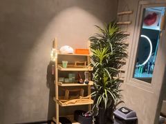 -施奈儿.洗头頭療.按摩SPA.采耳(上梅林店)
