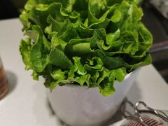 -古乐牛香·鲜牛肉牛杂火锅(吴江三里桥运东商业广场店)