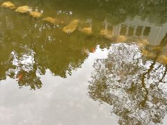 -湖北美术学院(昙华林校区)