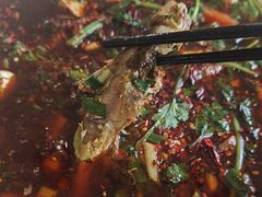 -胖大姐黄辣丁鱼庄(新津店)