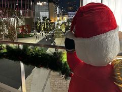 -深圳湾万象城(南山店)