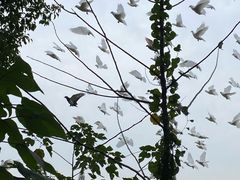 -良渚古城遗址公园