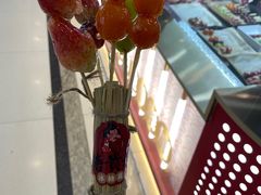 -糖贵妃·冰糖葫芦·刨冰(新街口印象汇店)