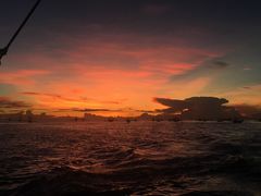 -Jonah's Fruit Shake & Snack Bar