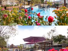 -广州市流溪河国家森林公园