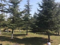 -洨河生态公园