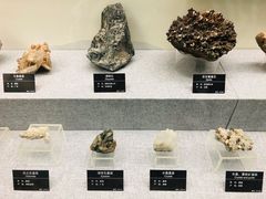 -甘肃地质博物馆