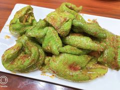 -嘉峪关伊俩寺烤肉店