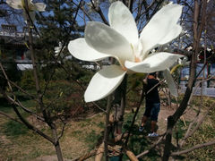 -紫竹院公园冰场