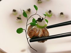 黑松露菌菇包-九朝会昆曲·宴(望京店)