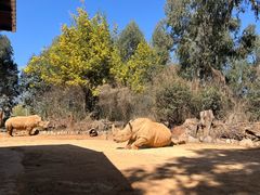 -云南野生动物园