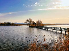 -野鸭湖国家湿地公园