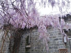 -老门东历史文化街区