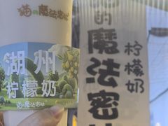 -猫的魔法密林(衣裳街店)